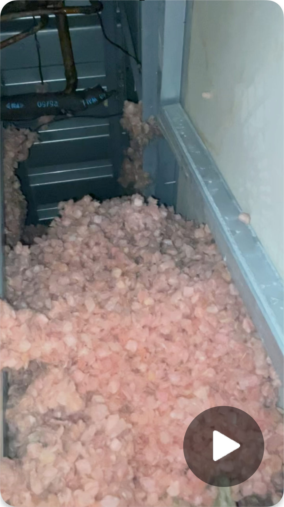 Wet insulation video still